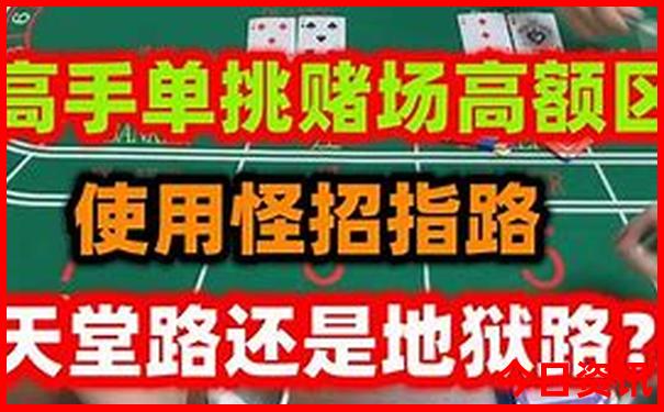 适合七十多岁老人旅游的地方